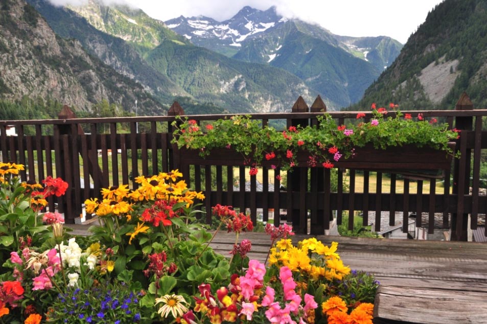Champoluc